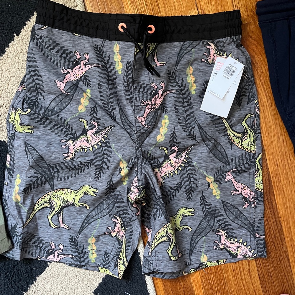 Dinosaur Print Board Shorts